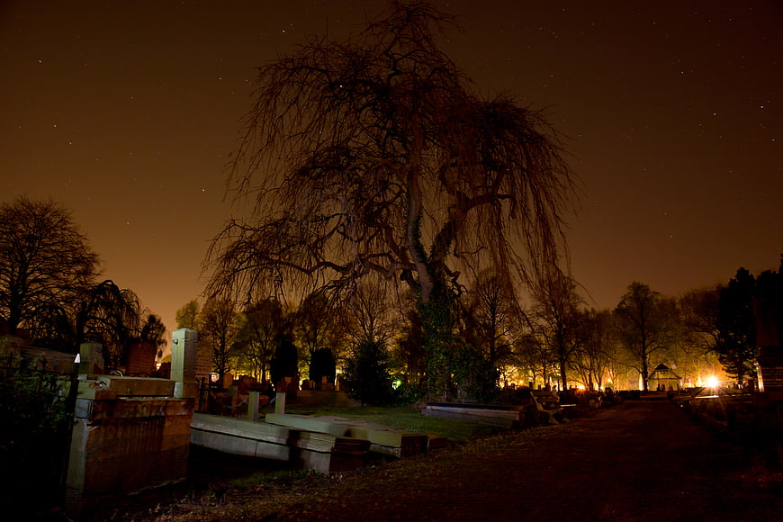 Spooky Night Cemetery with Large Willow Tree and Tombstones