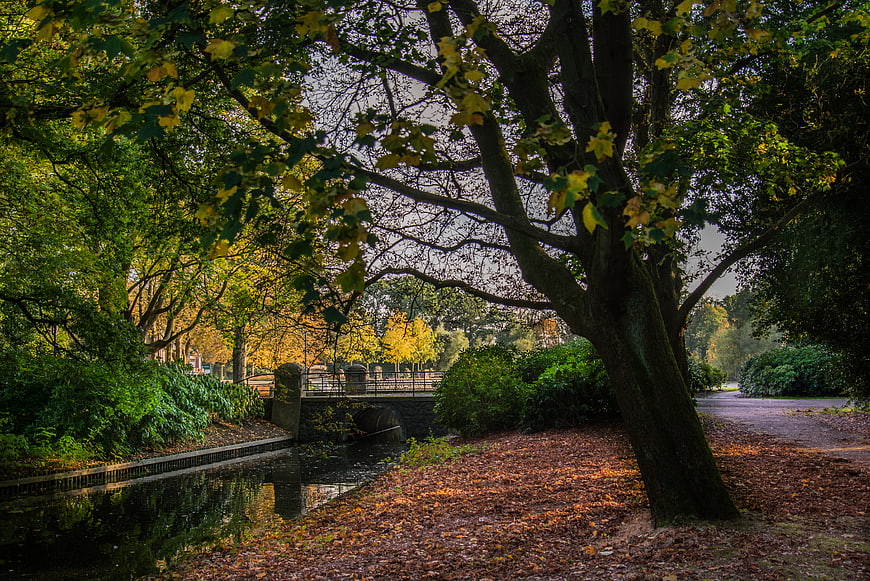 Autumn park path with fallen leaves and canal