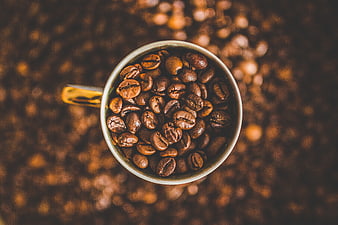 Top View of Coffee Beans in White Mug on Blurred Background