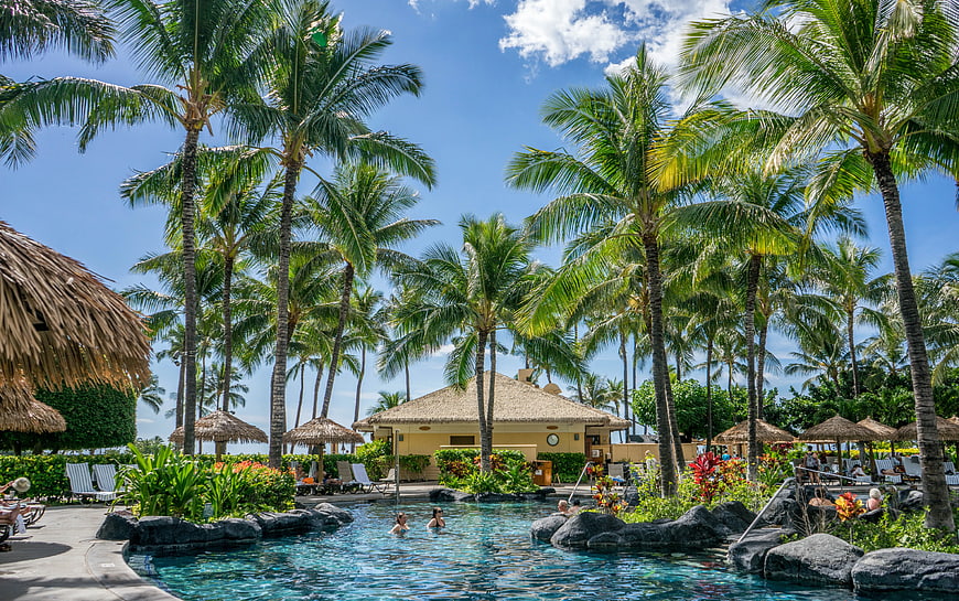 Tropical resort pool with palm trees and thatched umbrellas
