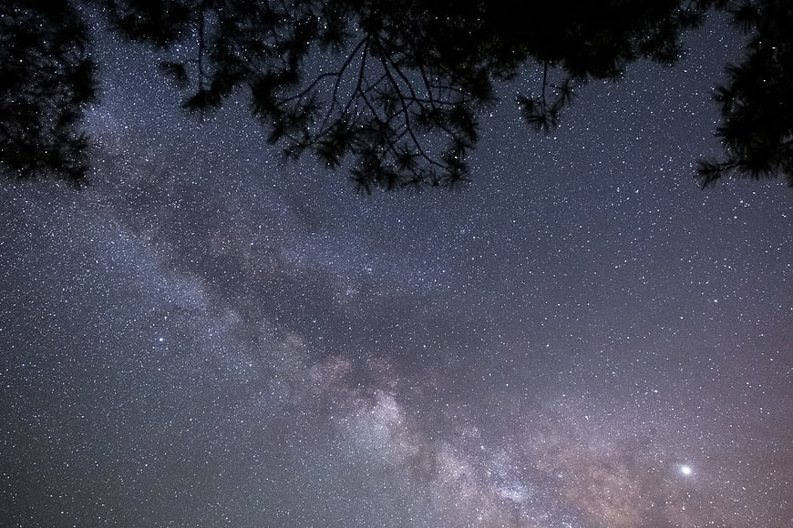 Milky Way Galaxy Through Pine Tree Silhouettes at Night
