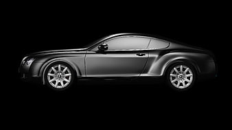 Sleek Silver Coupe Profile on Black Background