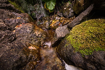 Mossy rocks and flowing stream in autumn forest