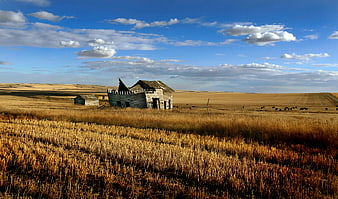 Abandoned wooden barn in golden prairie landscape
