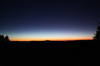 Silhouette of forest landscape at twilight with starry sky