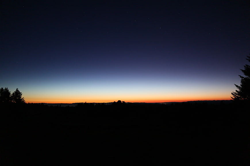 Silhouette of forest landscape at twilight with starry sky