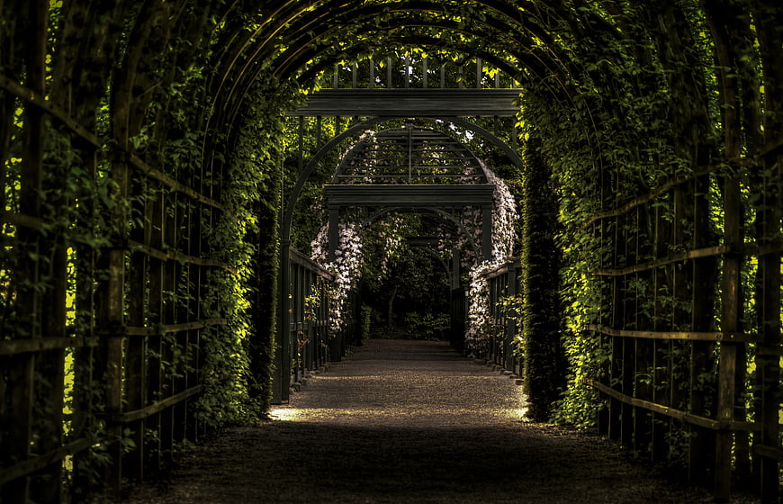 Sunlit Garden Tunnel with Arched Pergola and Greenery