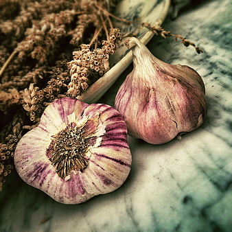 Purple Garlic Bulbs and Dried Herbs on Rustic Surface