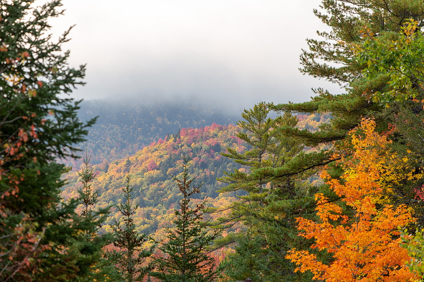 Misty Autumn Mountain Forest with Vibrant Fall Foliage