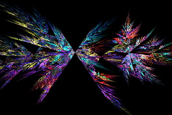 Abstract multicolor fractal wings on black background