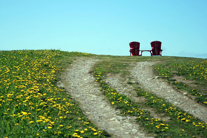Two red Adirondack chairs on a grassy hill with yellow flowers