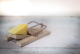 Wooden Mouse Trap with Cheese Bait on Rustic Table