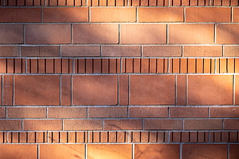 Textured Red Brick Wall with Sunlight Shadows