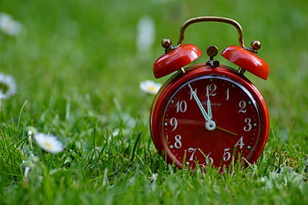Red Vintage Alarm Clock on Green Grass