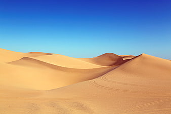 Golden Sand Dunes Under Clear Blue Sky