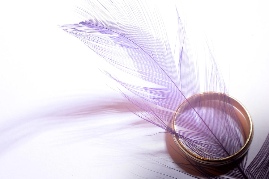 Purple Feather Resting in Gold Ring on White Background