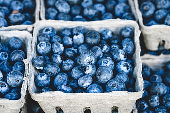 Fresh Blueberries in Cardboard Containers at Market