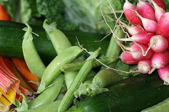 Fresh Organic Vegetables: Radishes, Peas, Zucchini, and Rhubarb