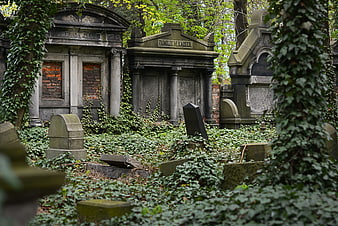 Overgrown historic cemetery with ivy-covered mausoleums