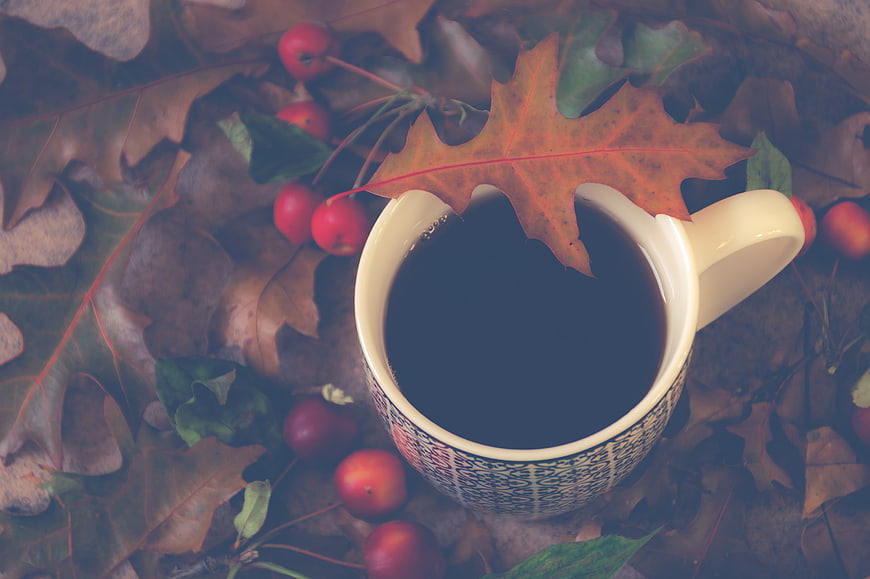 Autumn coffee cup with oak leaves and red berries
