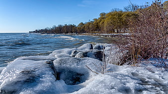 Frozen Lake Shore with Ice-Covered Rocks and Trees