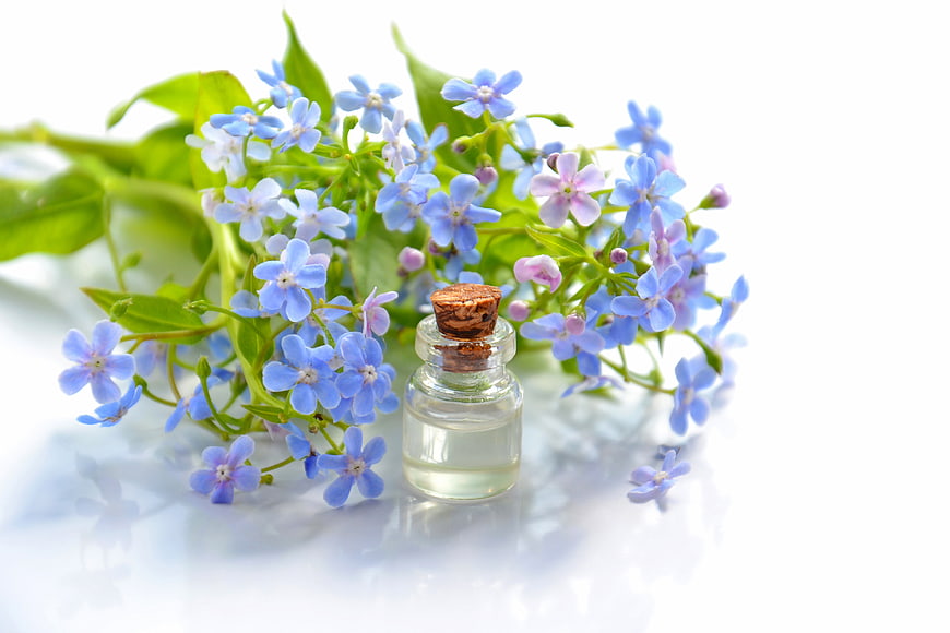 Essential oil bottle with blue forget-me-not flowers on white background