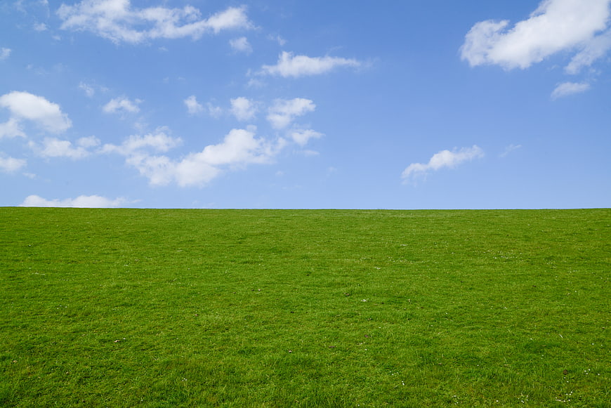 Vibrant Green Meadow Under Blue Sky with White Clouds