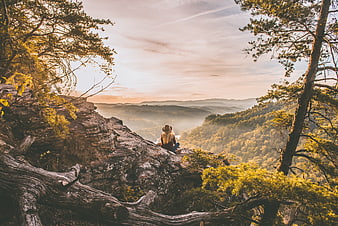 Woman sitting on rocky cliff overlooking misty forest valley at sunrise