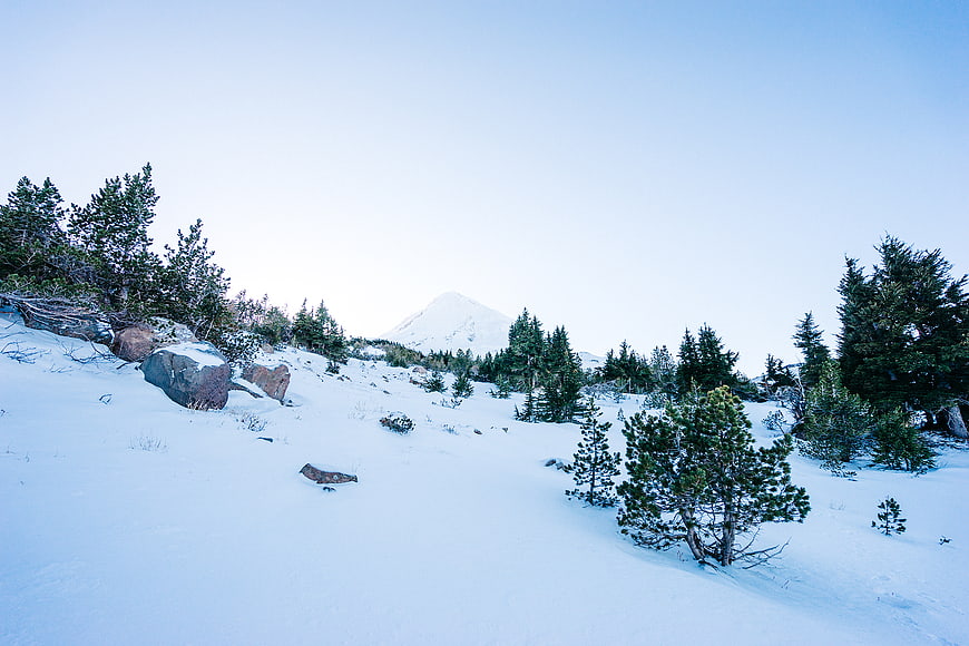 Snowy Mountain Landscape with Pine Trees and Blue Sky