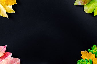 Autumn leaves border on black background with copy space