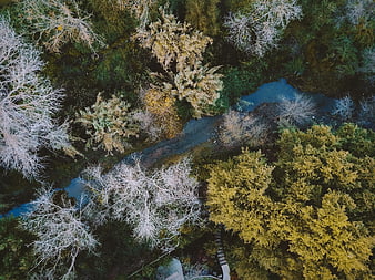 Aerial view of winding river through autumn forest
