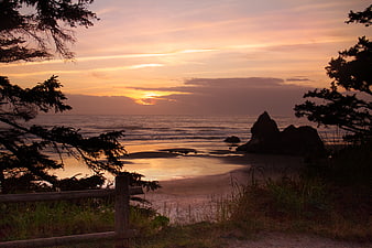 Serene Sunset Over Ocean Beach with Silhouetted Trees and Rocks