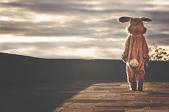 Person in bunny costume walking away at sunset