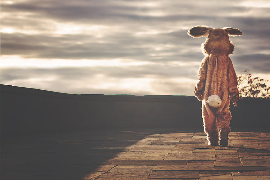 Person in bunny costume walking away at sunset