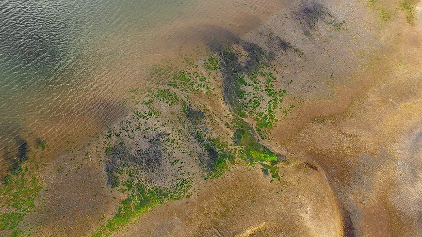 Aerial view of shallow water, sand, and green algae patterns