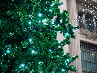 Close-up of Christmas tree with blue lights and city background