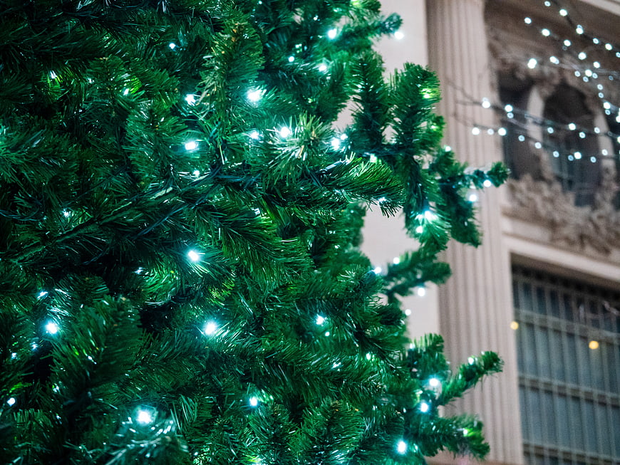 Close-up of Christmas tree with blue lights and city background