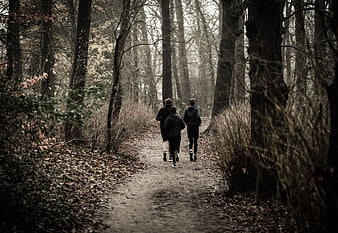 Three Runners Jogging on a Forest Path in Autumn