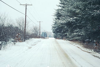 Snowy rural road with pine trees and power lines in winter