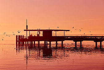 Silhouetted pier at sunset with flying birds over calm ocean