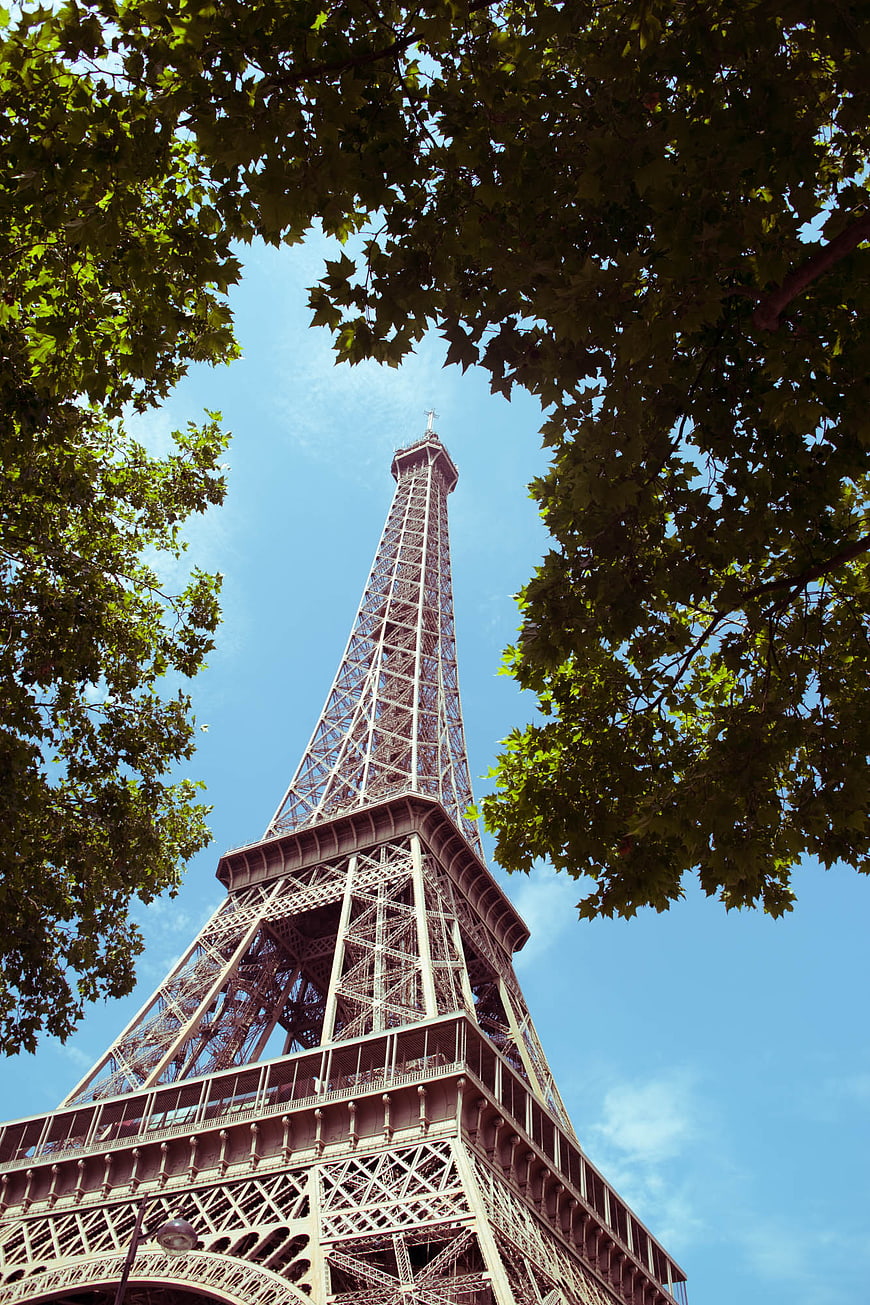 Low angle view of Eiffel Tower framed by green leaves