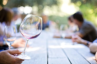 Hand holding wine glass at outdoor gathering