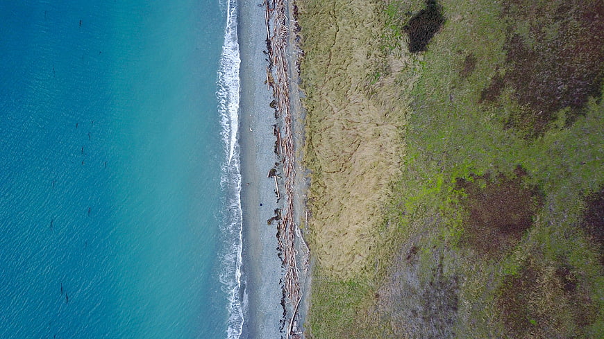 Aerial View of Turquoise Coastline with Driftwood and Grass