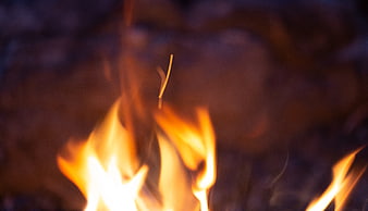 Close-up of flickering campfire flames at night