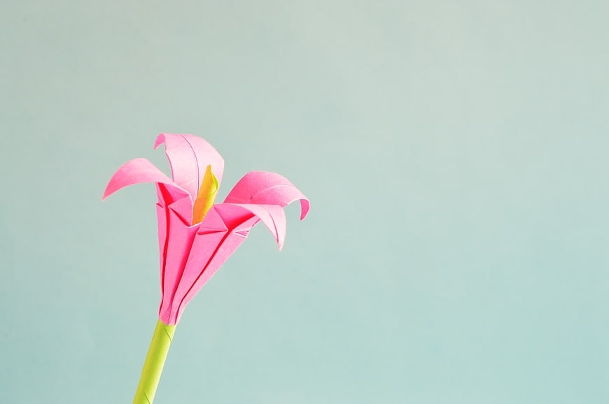 Pink Origami Lily Flower on Pastel Blue Background