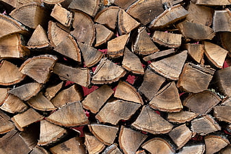 Stacked Firewood Logs Pile Background Texture