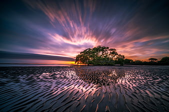 Dramatic Sunset Over Rippled Sand and Mangrove Trees