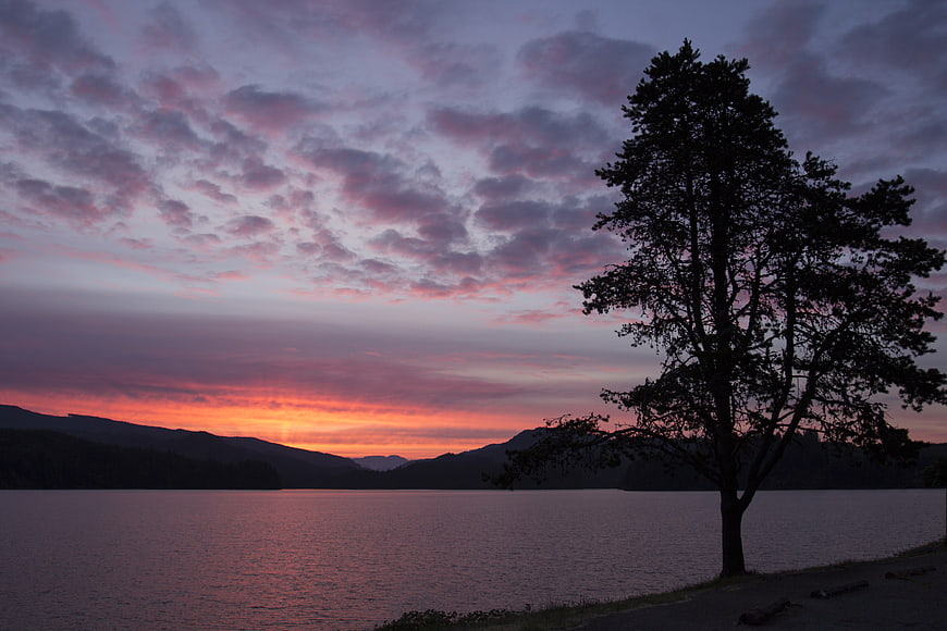 Serene Lake Sunset with Silhouetted Tree and Mountains