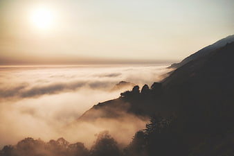 Misty Mountain Sunrise with Sea of Fog and Silhouetted Trees