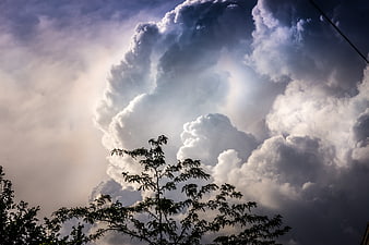 Dramatic Storm Clouds with Sunbeams Over Silhouetted Trees
